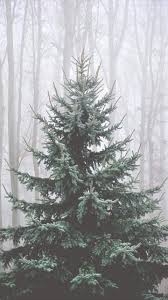 ✓ free for commercial use ✓ high quality images. Christmas Aesthetic Wallpapers Wallpaper Cave
