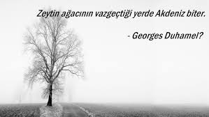 Bir Zeytin Agaci Sozu Bff Sozleri Guzel Soz Ilham Veren Alintilar