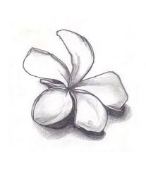 403 Forbidden Flower Drawing White Tattoo Flower Tattoo Shoulder