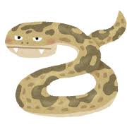 蛇の検索結果&nbsp;|&nbsp;かわいいフリー素材集&nbsp;いらすとや
