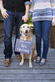 Jessica Loose Park Kansas Mo Maternity Photography The Dog Baby Announcement Maternity Photography Baby Announcement