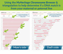 Progressing mankind's understanding of the human genome for over 35 years. Free Dna Test Uploads Forever Features At Myheritage Dna Thru 18 Dec 2019 Ongenealogy