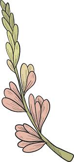 I used the font and some of the clip art to make the printable counting flowers book. Spring Flowers Clipart Free Download Transparent Png Creazilla