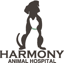 Daugiau informacijos apie įmonę all pets veterinary hospital, pc rasite adresu www.allpetspeoria.com. Harmony Animal Hospital