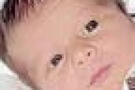 Jeremiah Warren Pond new arrival