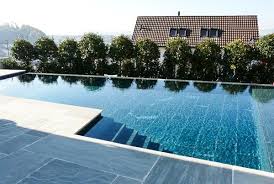 Uberlaufpool Mit Sichtschutz Aus Immergrunen Pflanzen Schwimmbader Pool Sichtschutz Pflanzen