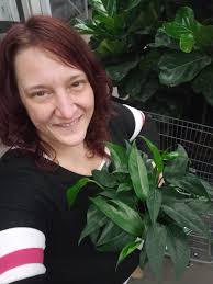 Coconut tree planted at Barcelo resort in Tulum