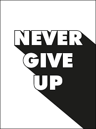 Maybe you would like to learn more about one of these? Never Give Up Summersdale Amazon De Bucher