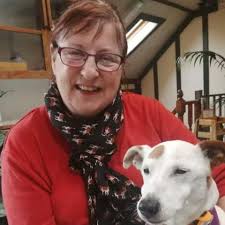 Fundraiser by Lyndsay Potter : Join Lyndsay's Path to Health: Pre-Surgery  Funding