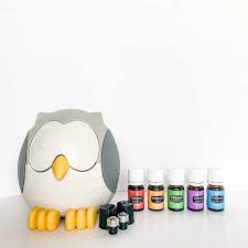 The marula tree is an amazing natural resource that can really change the way you think about skin care and health. Ultimate Guide To Young Living Essential Oils How To Order Faqs