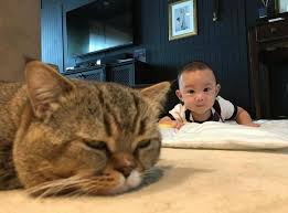 Yusuf & bujibu pergi meeting sama sama, apa yg diorang bincangkan tu ye. Koleksi Gambar Gambar Bujibuchempel Viral Media Johor Facebook