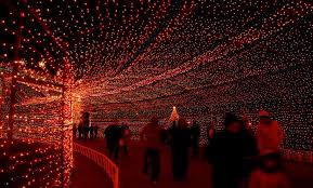 Here Are The 10 Best Christmas Displays In Texas They Re Magical Holiday Lights Display Best Christmas Light Displays Christmas Light Displays