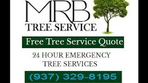 We offer tree removal, trimming and more at affordable rates! Dayton Ohio Tree Services Dayton Tree Removal Trimming Stump Grinding Removal