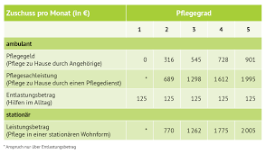 Pflegegeld für angehörige bei pflegebedürftigkeit durch mdk. Pflegegeld Und Pflegesachleistung Zuschusse Fur Die Pflege Zu Hause