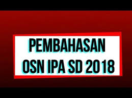 Check spelling or type a new query. Pembahasan Soal Osn Ipa Sd Tahun 2018 Youtube