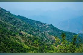 UN Environment Program (UNEP) announces that Saudi Arabia will host the 2024 World Environment Day - ANTARA News