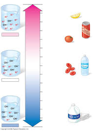 Powerpoint Presentation Pdf تحميل مجاني