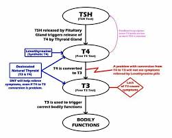 Tsh T4 And T3 Symptoms Of Thyroid Problems Thyroid Problems Levothyroxine