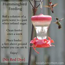Add 1 cup (225 grams) of granulated sugar to the boiling water, and stir until it's completely dissolved. Hummingbird Food Recipe Social Savvy Mom Hummingbird Food Homemade Hummingbird Food Humming Bird Feeders