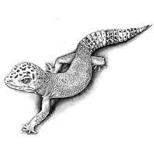 Pin On Gecko Tattoo