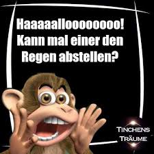 Jetzt Reicht S Regenwetter Lustig Regen Spruche