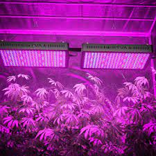 Bestva dc series 3000w led grow light. Buy Bestva Dc Series 3000w Led Grow Light Full Spectrum Grow Lamp For Greenhouse Hydroponic Indoor Plants Veg And Flower Online In Indonesia B07dxt9162