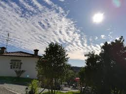 Talvez você pergunte, onde você. Quinta De S Vicente 317 Vila Nova De Famalicao Updated 2021 Prices