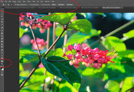 Click on the magnifying glass icon in the toolbar and the. Using The Zoom Hand Tools In Adobe Photoshop