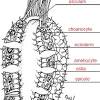 Whats people lookup in … 1