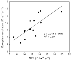4 видео 109 просмотров обновлен 31 мар. Can We Measure Terrestrial Photosynthesis From Space Directly Using Spectral Reflectance And Fluorescence Grace 2007 Global Change Biology Wiley Online Library