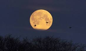 The closer the moon in the middle, the higher the moon. Full Moon In Uk Today Full Moon Calendar For 2021 Names And Dates