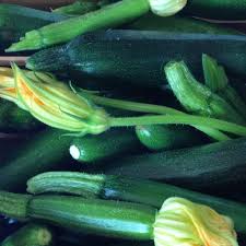 Drought, severe swings in temperature, waterlogged roots, etc.). Zucchini A Love Story How To Grow Zucchini And A Recipe For Zucchini Lemon Spread