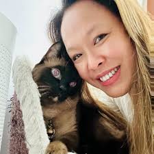 Bubu the Siamese Burmese cat