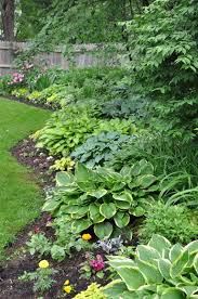 Private Shade Garden West Hartford Ct Hostas Gardening Shade Garden Ideas Landscape Design F Shade Garden Design Shade Garden Plants Beautiful Gardens