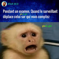 Bonsoir a tous j'ai besoin de votre soutien Ito participe au jeux  universitaires et dans la discipline du handball nous avons un joueur qui a  été nominé pour être meilleur joueur du