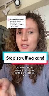 Restraining Cats Tech