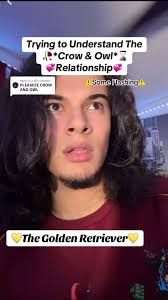 Owl and Crow Relationship: A Tale of Love and Darkness