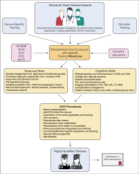 Figure Formalization And Standardization Of Structural Heart Disease Download Scientific Diagram