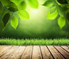 Maybe you would like to learn more about one of these? Green Leaves Brown Wood Green Leaf Background Leaf Background Flower Background Wallpaper