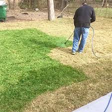 The Grass Is Always Greener On The Other Side Of The Fence How Lawn Spray Paint Keeps Your Grass Green Thesuperboo Grass Painting Lawn Repair Green Grass