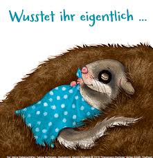 Meistens nisten sich siebenschläfer im mai ein, wenn sie aktiv werden und einen ort. Dass Siebenschlafer Beim Der Kleine Siebenschlafer Facebook