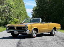 Image result for Tiger Gold 1965 GTO