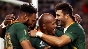 Retour sur les deux derniers matchs de la coupe du monde avec la finale d'hier et le match pour la troisième place. Cdm De Rugby A Xv 2019 Rugby Coupe Du Monde 2019 Notre Pronostic Pour Pays De Galles Afrique Du Sud Dicodusport
