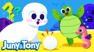 Whose Egg Is It Animals Song For Kids Seahorse Lobster Whale And Sea Turtle Juny Tony Youtube In 2020 Kids Songs Turtle Sea Turtle