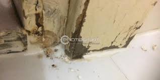 Evin içindeki odaların eşit şekilde ısınmaması da rutubete neden olur. Banyo Tavaninda Kuf Olusmasi Pro Tesisat