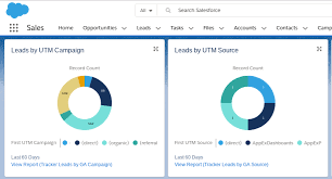 5 Big Ways To Maximize Your Salesforce Dashboards Cloudamp News