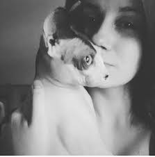 Dobby the missing sphynx cat