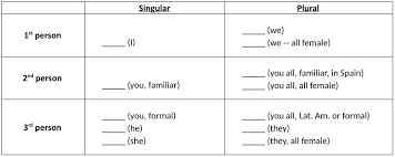 2017 Spanish 1 Unit 1 Subject Pronouns Chart Diagram