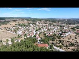 Πολυδενδρι από τα μεγαλύτερα ελληνικά. To Polydendri Lagkada Apo Pshla Youtube