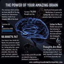 The Power Of The Amazing Brain Brainfacts Brainhealth Health Wellness Brain Facts Healthy Brain Brain Science